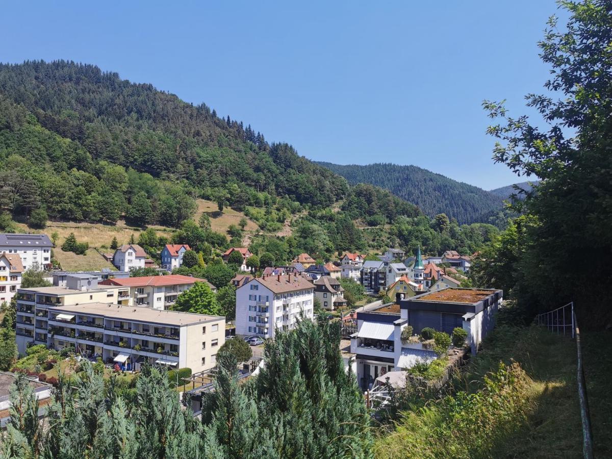 Terrassenwohnung Mit Toller Aussicht & Zentrumsnah Hornberg Exterior foto